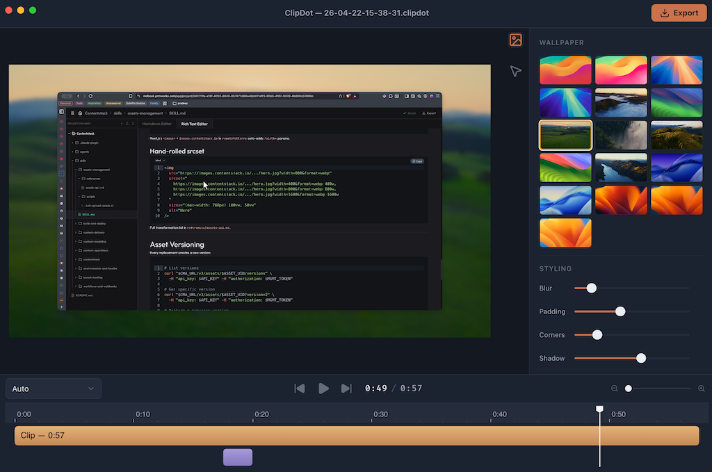Clipdot export dialog, single primary button.